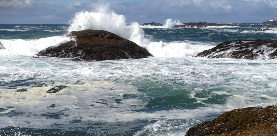 Feature Video – Clayoquot Sound – Striking Balance 2018